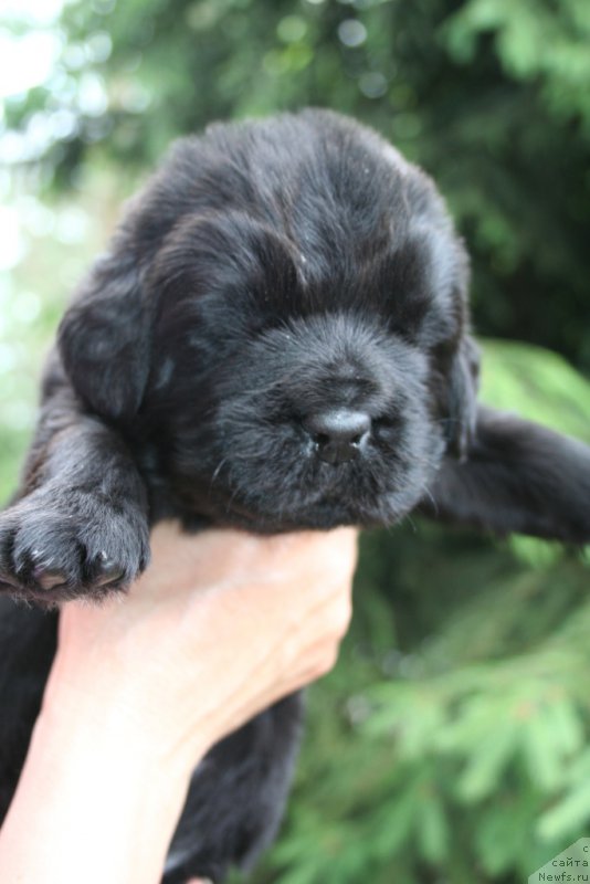 Фотография № 156426