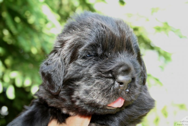 Фотография № 156440