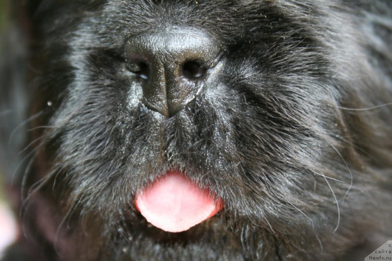 Фотография № 156448