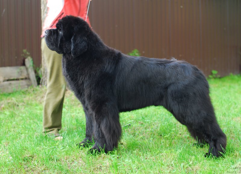 Фотография № 156482