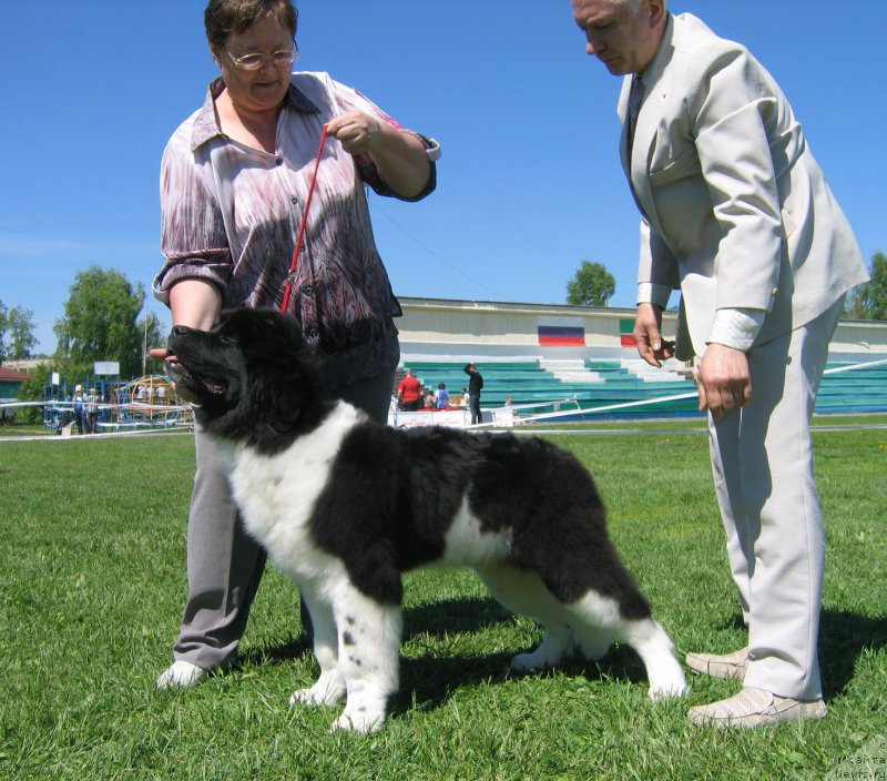 Фотография № 156488