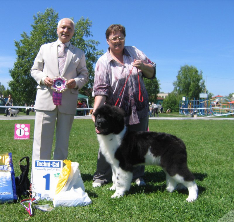 Фотография № 156489