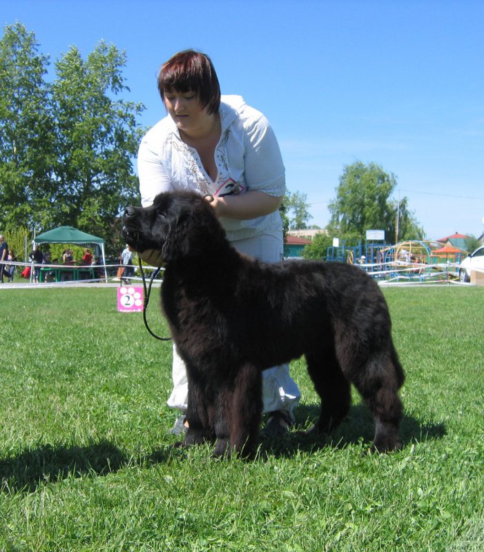 Фотография № 156490