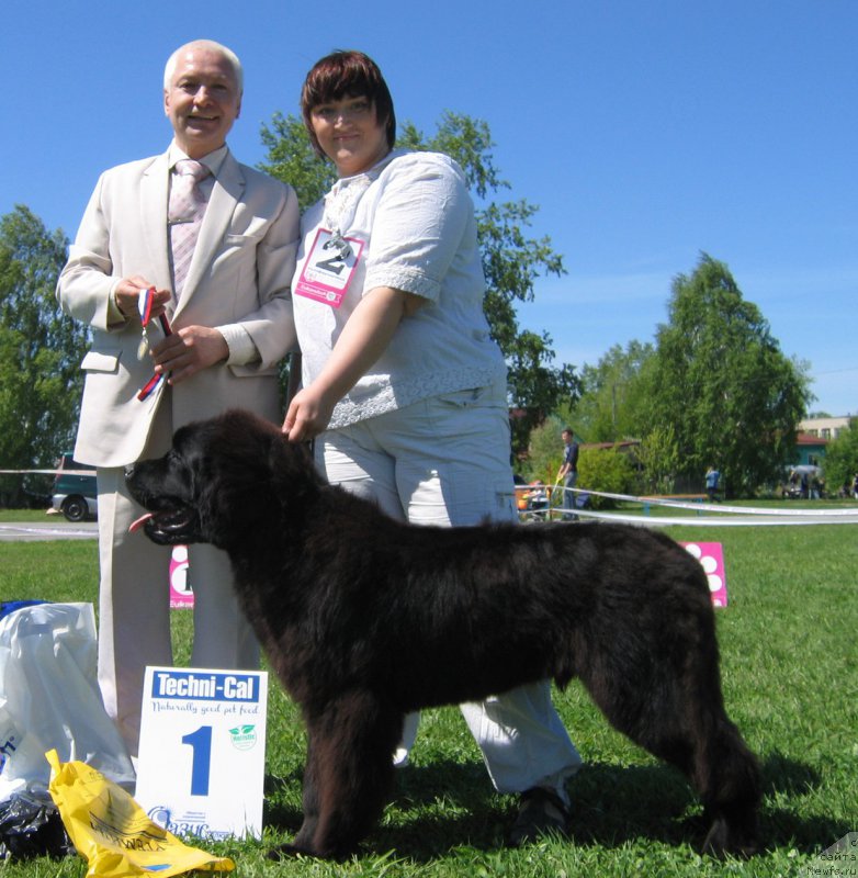 Фотография № 156492