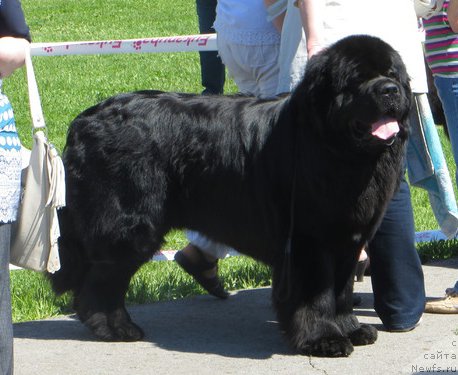 Фотография № 156495