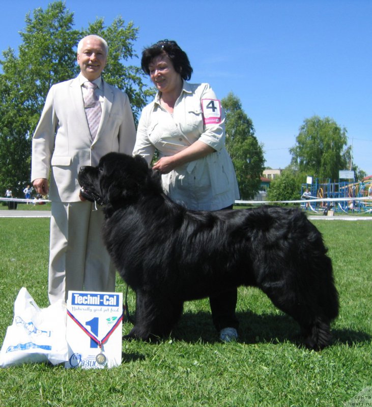 Фотография № 156497