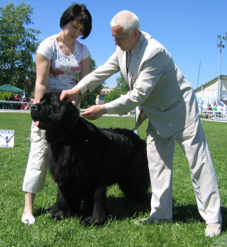 Фотография № 156498