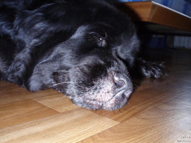 Фото: Александрович Кононенко