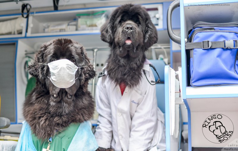 Фотография № 156501