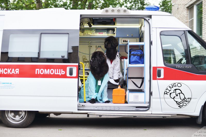 Фотография № 156505