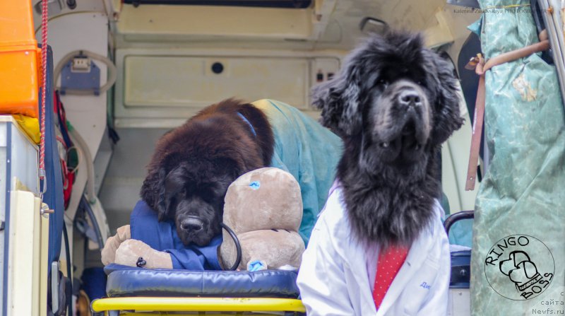 Фотография № 156506