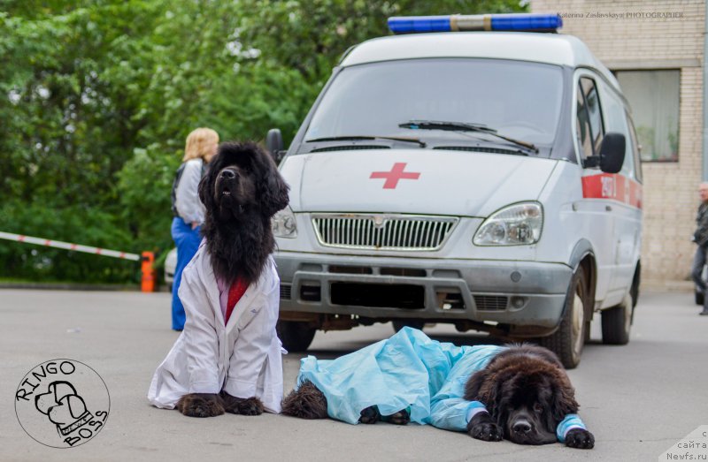 Фотография № 156508