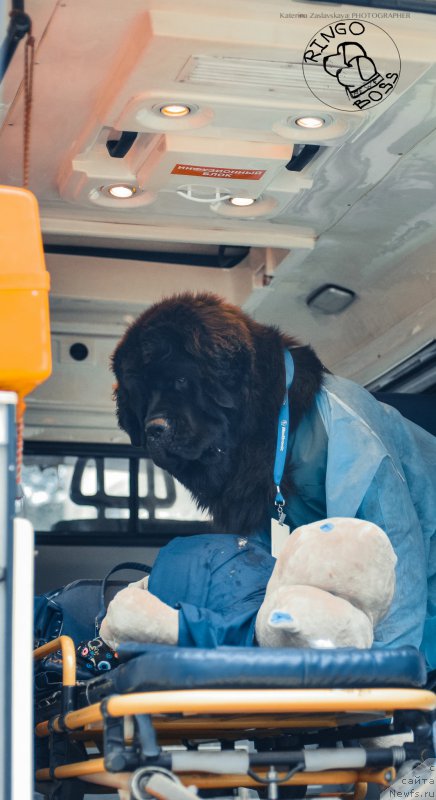 Фотография № 156510