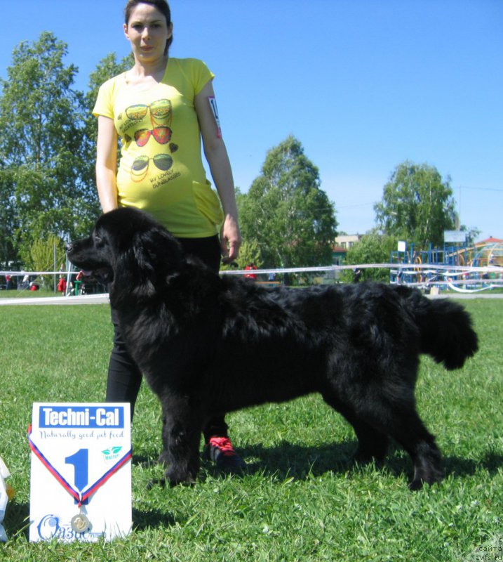 Фотография № 156518