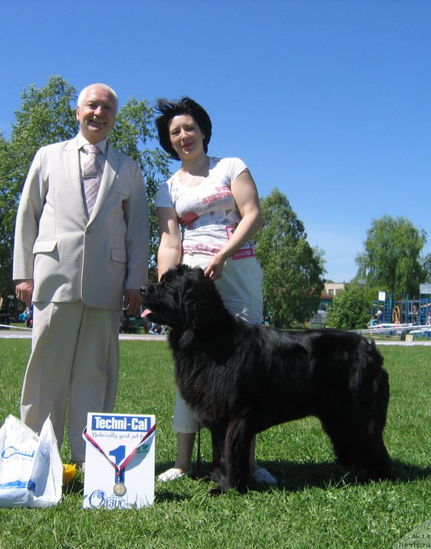 Фотография № 156519