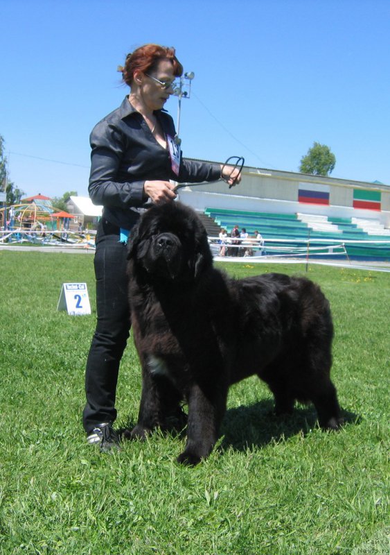 Фотография № 156520