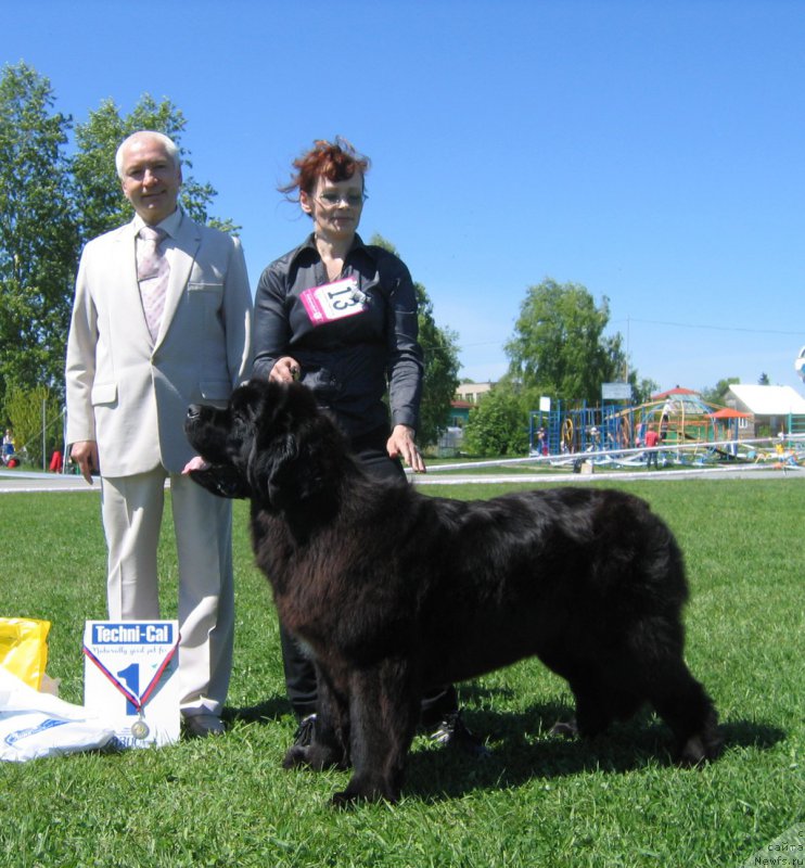 Фотография № 156521