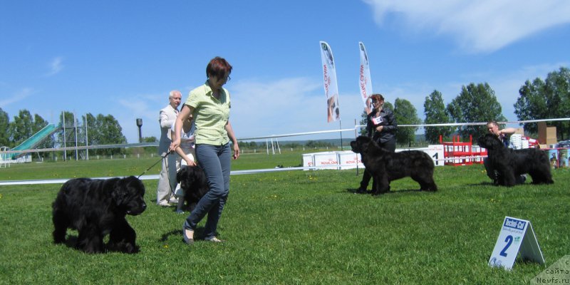 Фотография № 156523