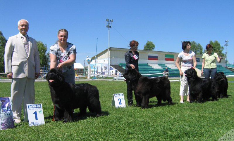 Фотография № 156524