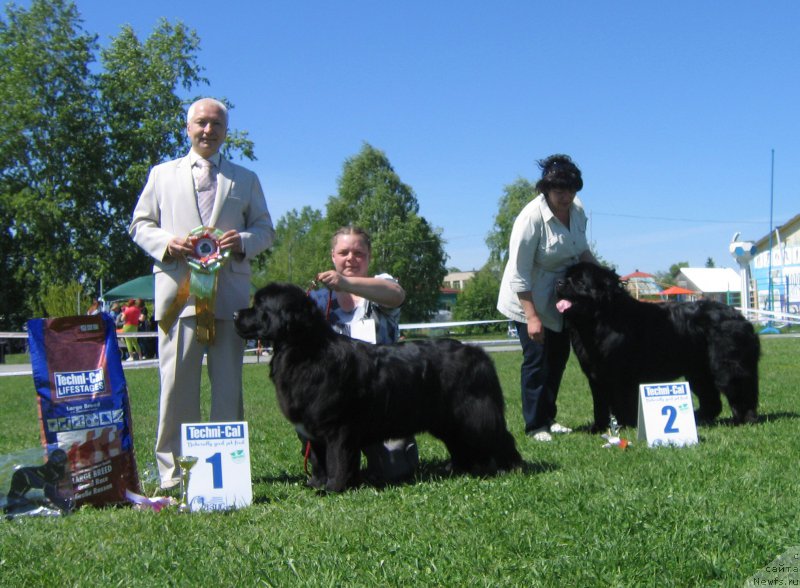 Фотография № 156525