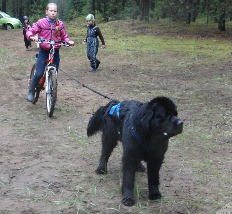 Фотография № 156529