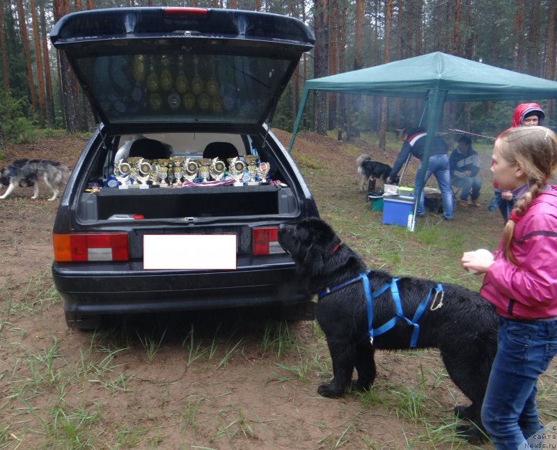 Фотография № 156530