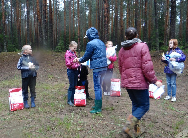 Фотография № 156531