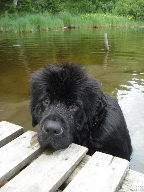 Фотография № 15654