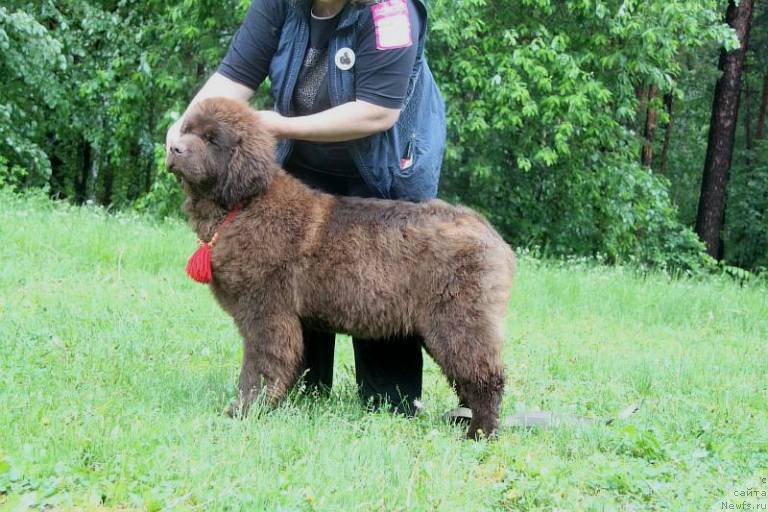 Фотография № 156569