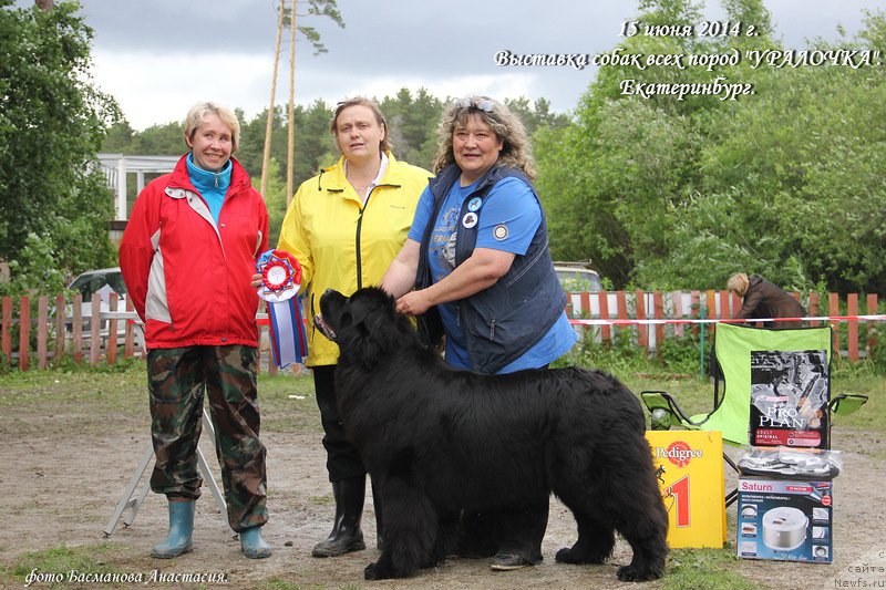 Фотография № 156572