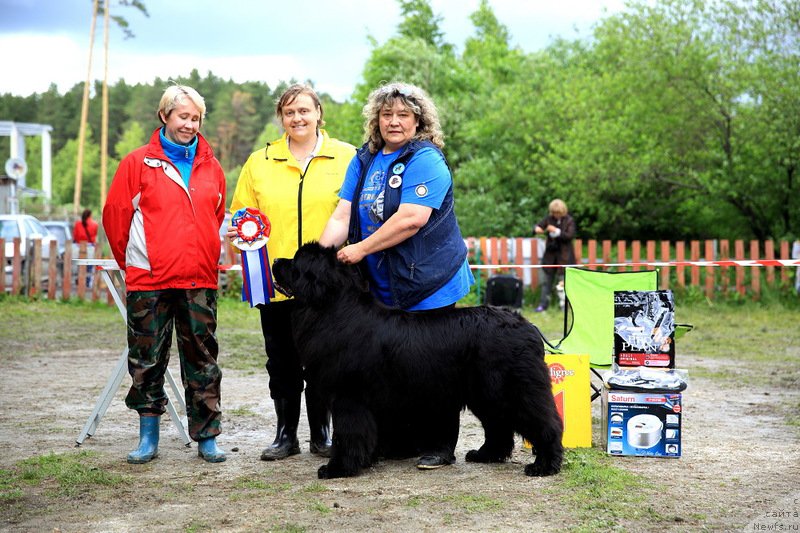 Фотография № 156573