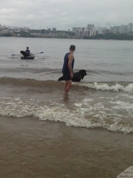 Фото: Диана Ларина