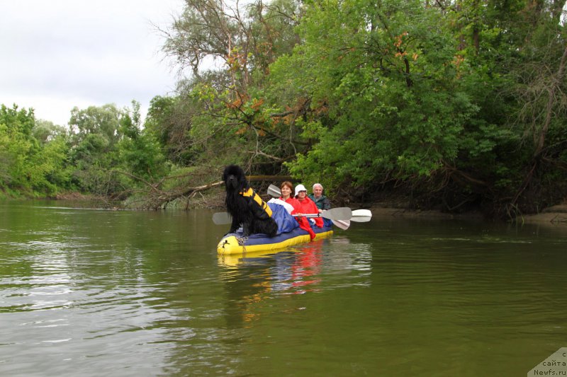 Фотография № 156604