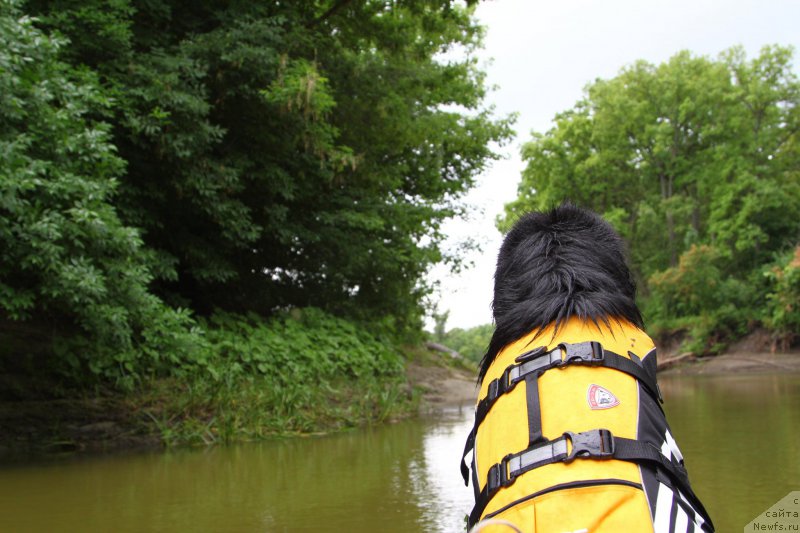 Фотография № 156606