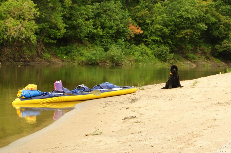 Фотография № 156607