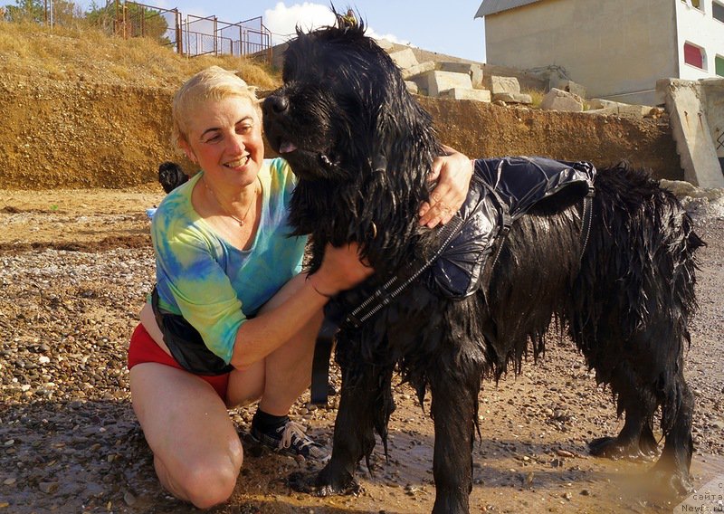 Фотография № 156608