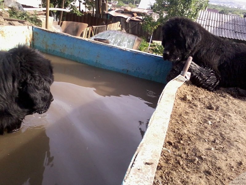 Фотография № 156617