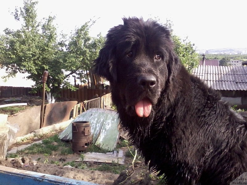 Фотография № 156618