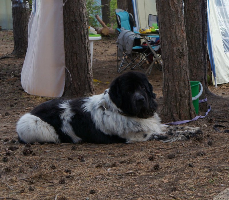 Фотография № 156619