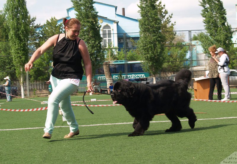 Фотография № 156623