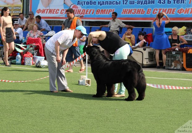 Фотография № 156629