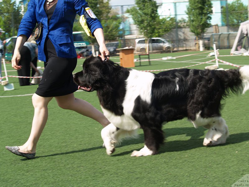 Фотография № 156636