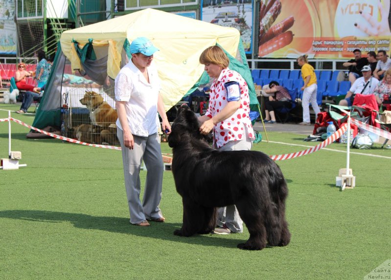 Фотография № 156640