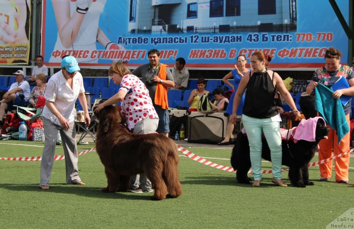 Фотография № 156643