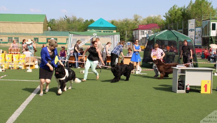 Фотография № 156644