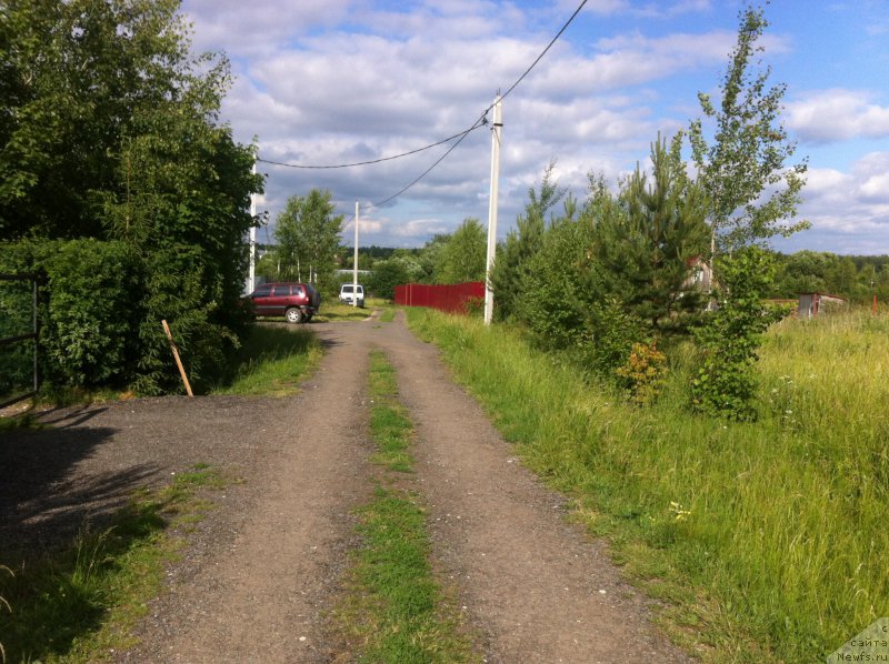 Фотография № 156653