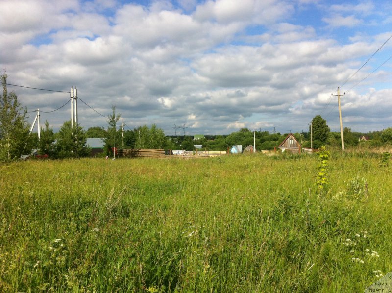 Фотография № 156655