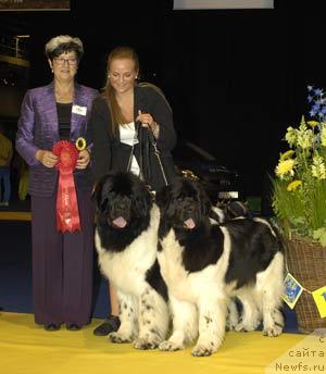 Фотография № 15667