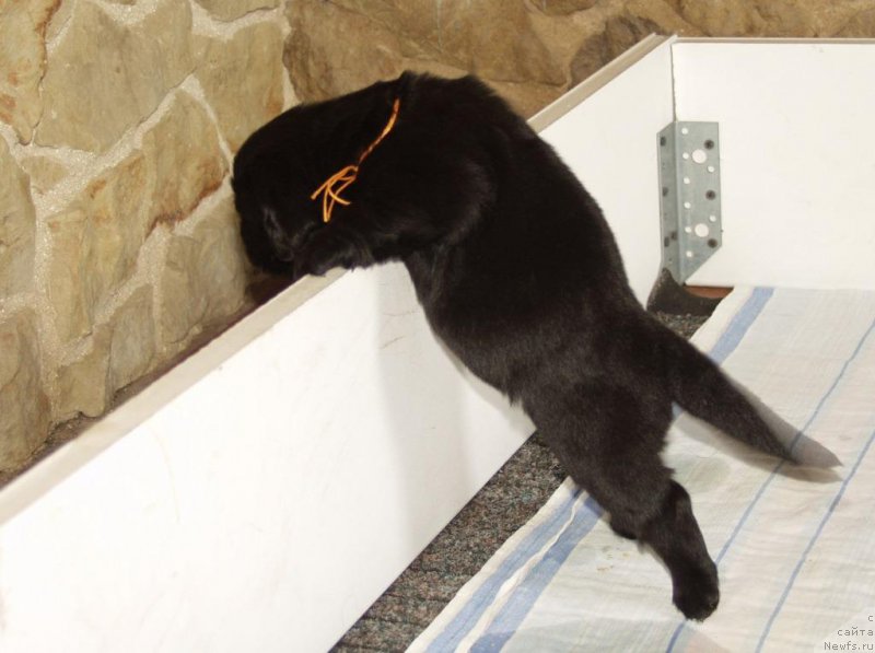 Фотография № 156714