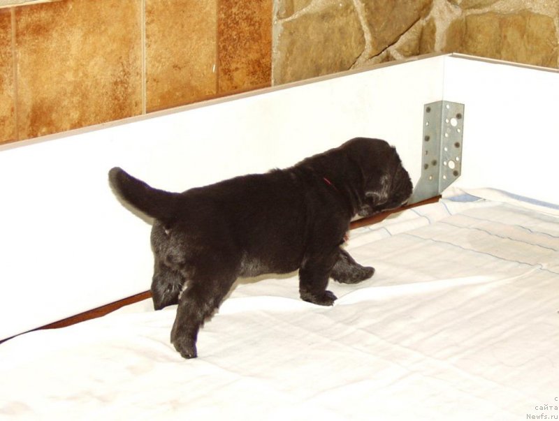 Фотография № 156716